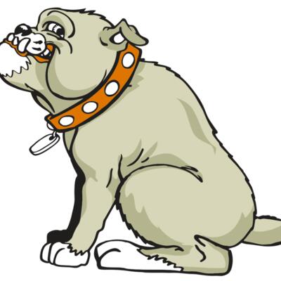 AR BDOG 26 RC Thumbnail