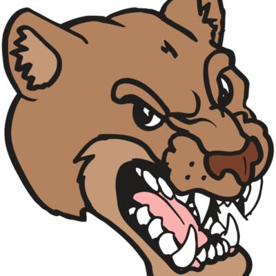 AR5 COUGAR 12 RQC Thumbnail