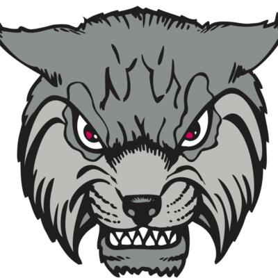 BAW BOBCAT 02 RC Thumbnail