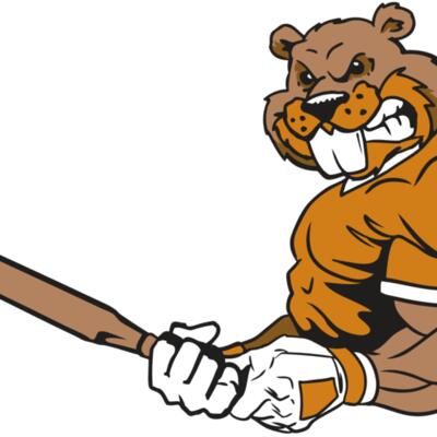 AR4 BEAVER 05 RQC Thumbnail