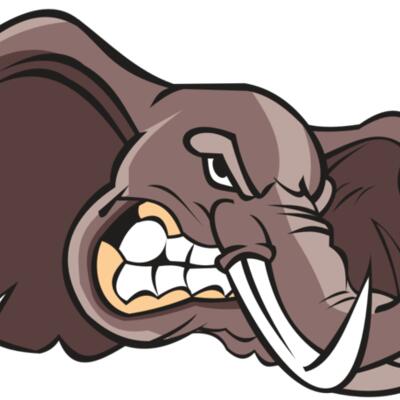 ELEPHANT HD0501 RQC Thumbnail