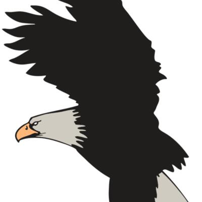 AR EAGLE 91 RC Thumbnail