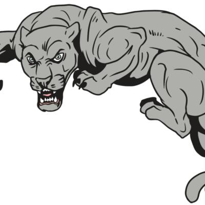 AR10 PANTHER 02 RQC Thumbnail