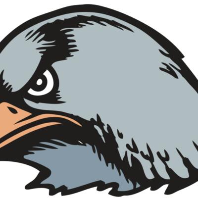 BAW HWK FLCN 03 RC Thumbnail