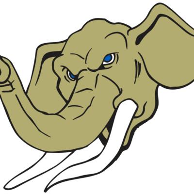 AR ELEPH 17 RC Thumbnail