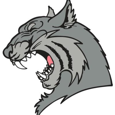 AR WILDCAT 41 RC Thumbnail