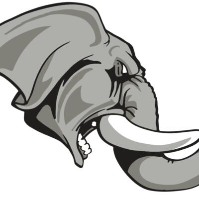 AR ELEPH 20 RC Thumbnail