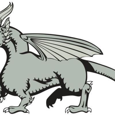 BAW DRAGON 20 RC Thumbnail