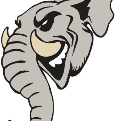 AR5 Elephant 11 RQC Thumbnail