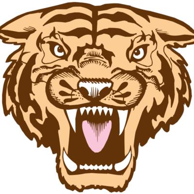 BAW TIGER 05 RC Thumbnail