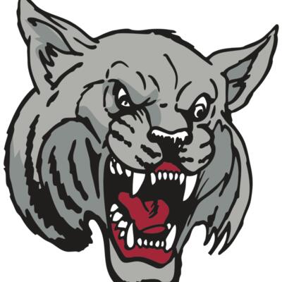 AR WILDCAT 42 RC Thumbnail