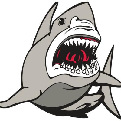 AR5 Shark 07 RQC Thumbnail