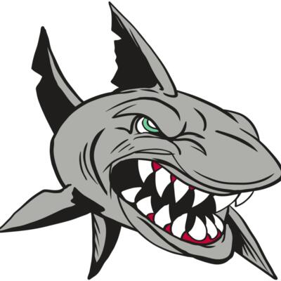 AR4 SHARK 01 RQC Thumbnail