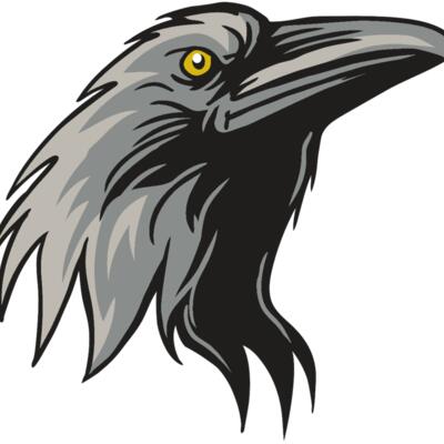 AR31 RAVEN 01 RQC Thumbnail