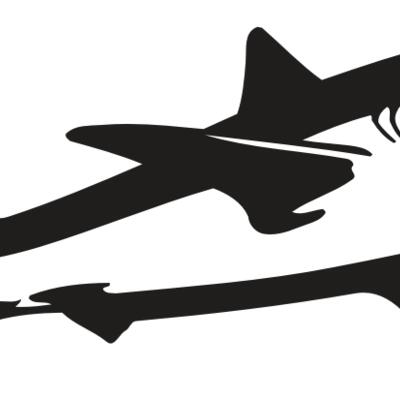 AR5 Shark 15 RQC Thumbnail