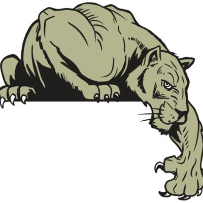 AR10 PANTHER 06 RQC Thumbnail